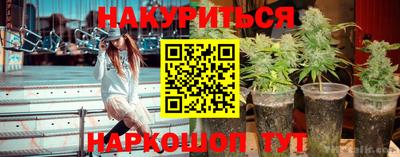 индика Кунгур