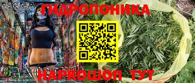 индика Кунгур