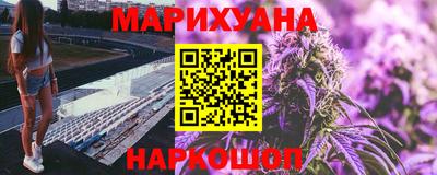 крисы Краснодар