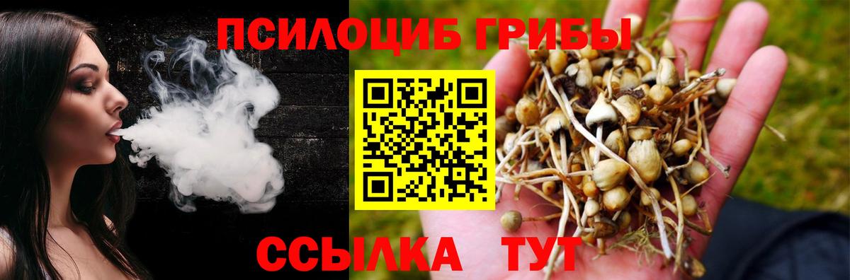 Псилоцибиновые грибы Psilocybe  Вход с VPN  Еманжелинск 